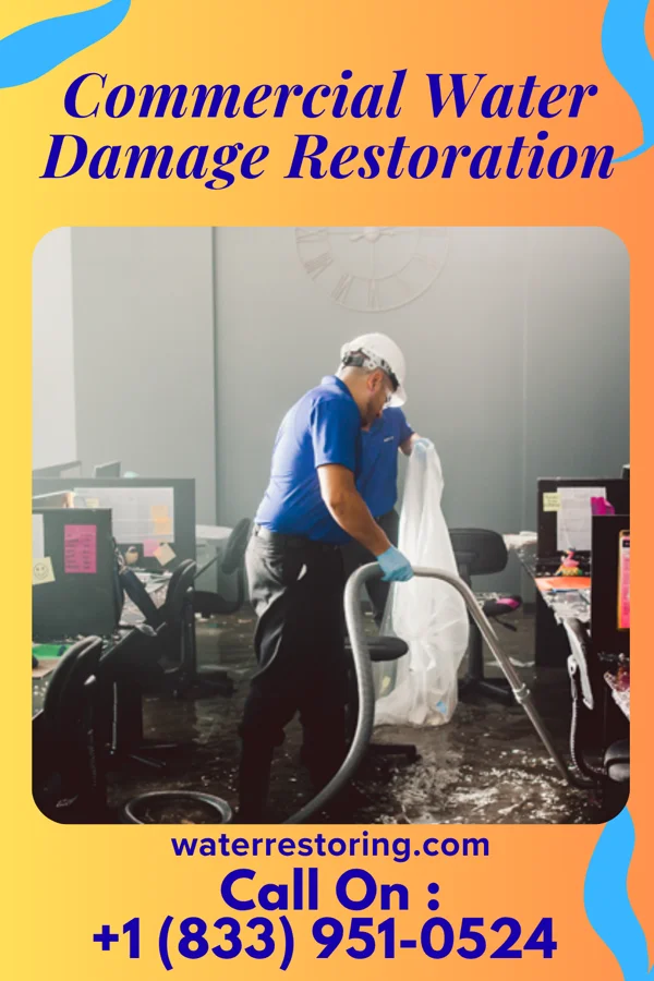 Commercial Water Damage Restoration in Logan, NM